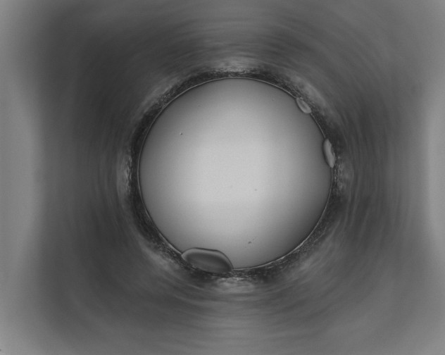 X0000112180544200908211502