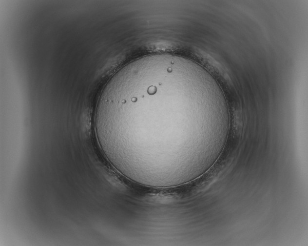 X0000112180545200908211502