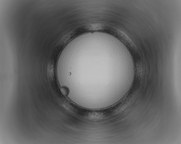 X0000112180549200908211502