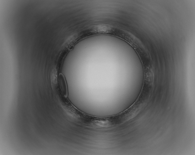 X0000112180552200908211502