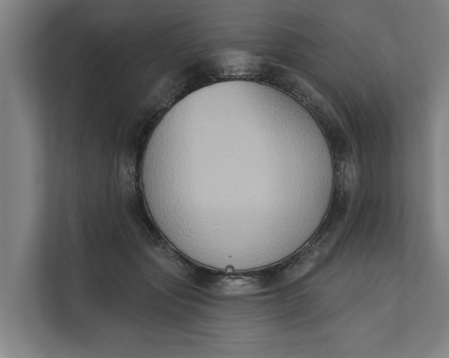 X0000112180557200908211502