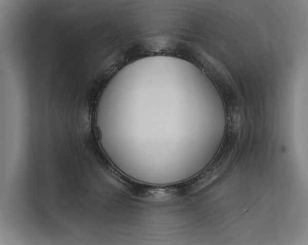 X0000112180558200908211502