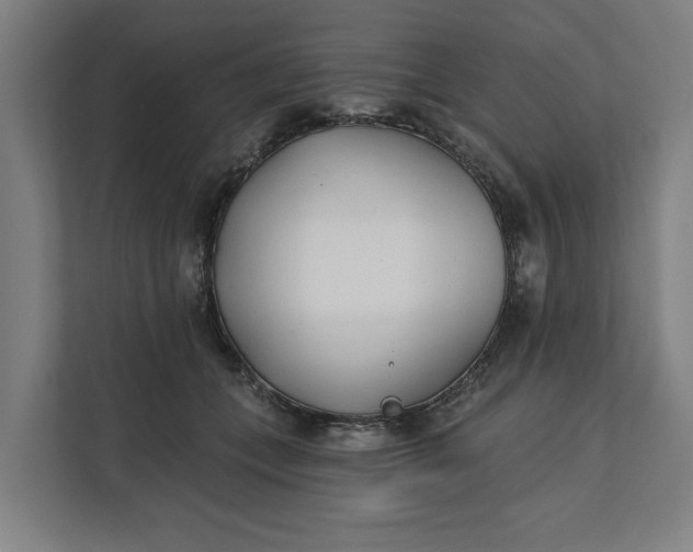 X0000112180559200908211502