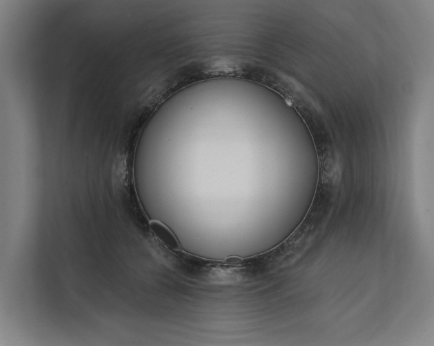 X0000112180560200908211502