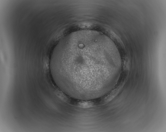 X0000112180561200908211502