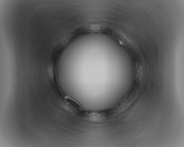 X0000112180562200908211502