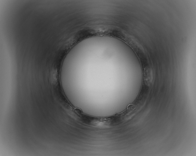 X0000112180563200908211502