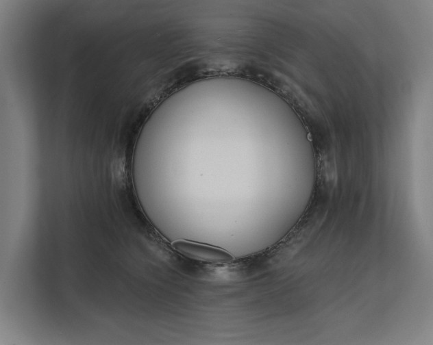 X0000112180564200908211502