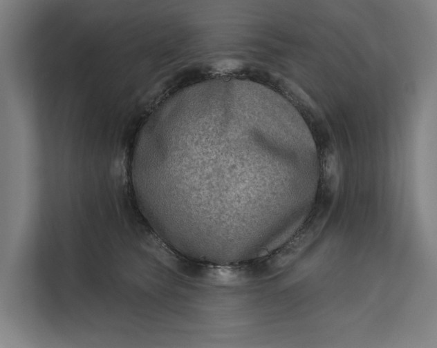 X0000112180565200908211502