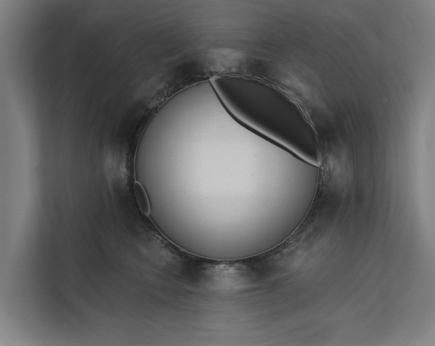 X0000112180566200908211502