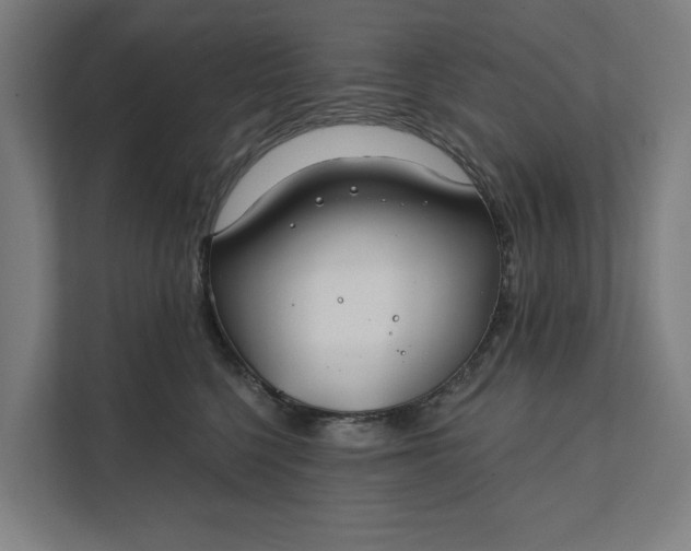 X0000112180568200908211502