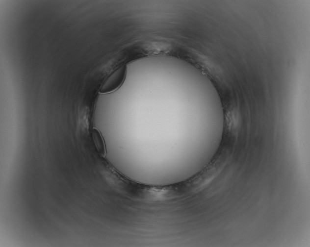 X0000112180570200908211502