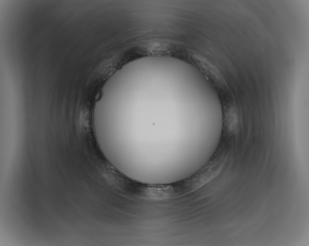 X0000112180571200908211502