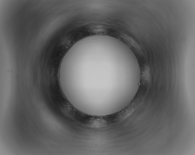 X0000112180572200908211502