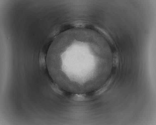 X0000112180573200908211502