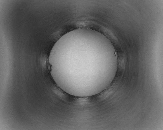 X0000112180574200908211502