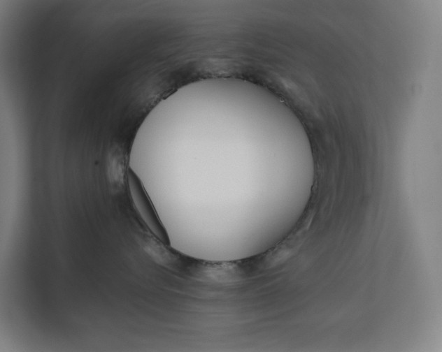 X0000112180576200908211502