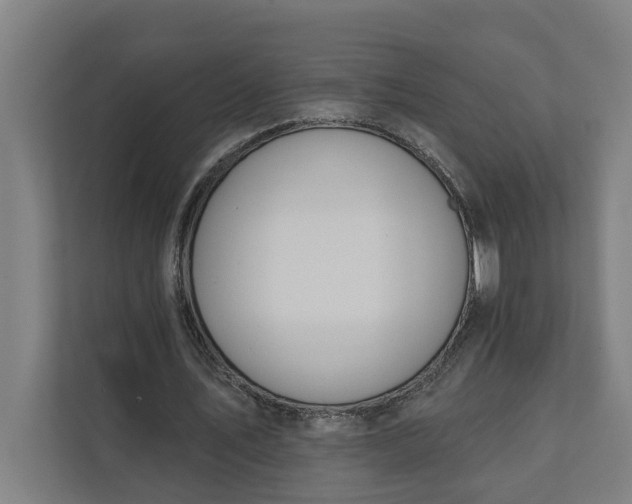 X0000112180579200908211502