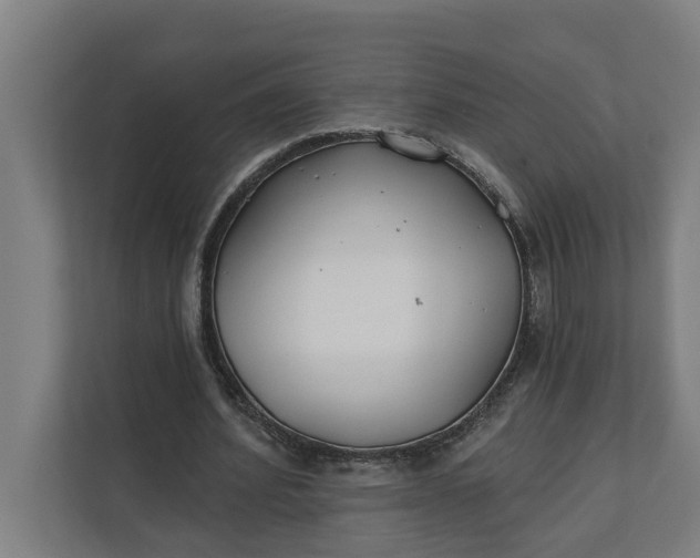 X0000112180580200908211502