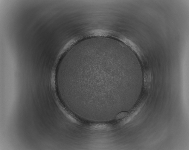 X0000112180581200908211502