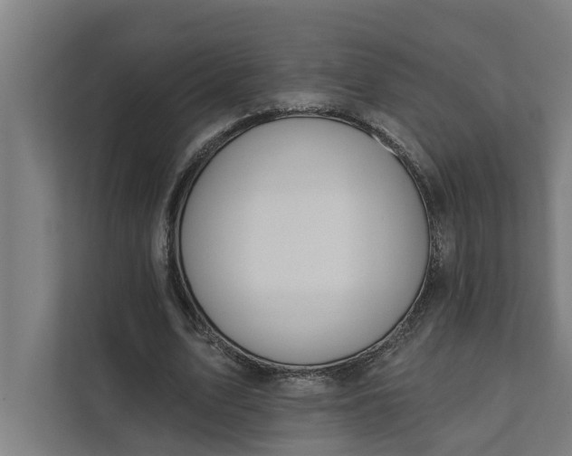 X0000112180583200908211502