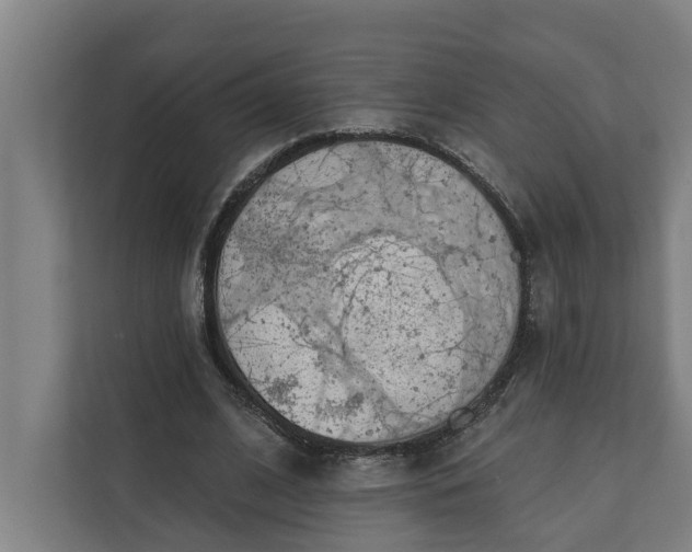 X0000112180584200908211502