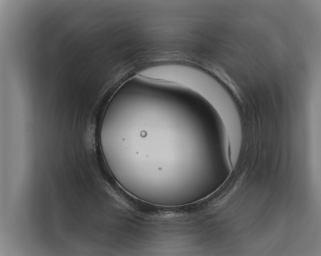 X0000112180585200908211502