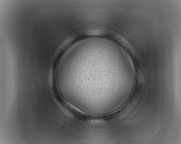 X0000112180586200908211501