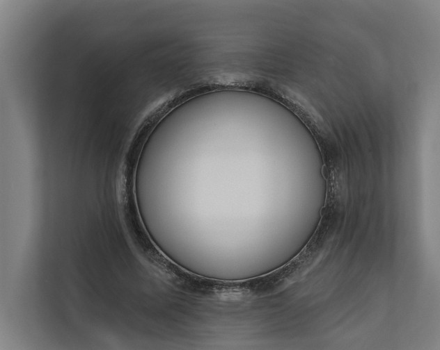 X0000112180587200908211501