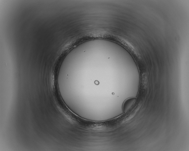 X0000112180589200908211501