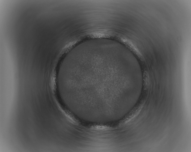 X0000112180590200908211501