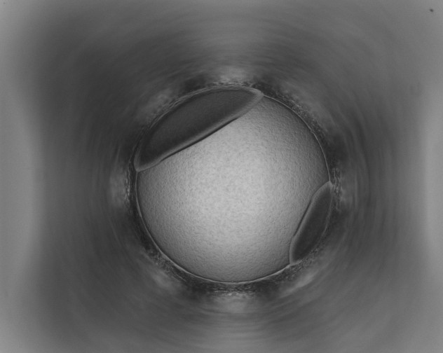 X0000112180593200908211501