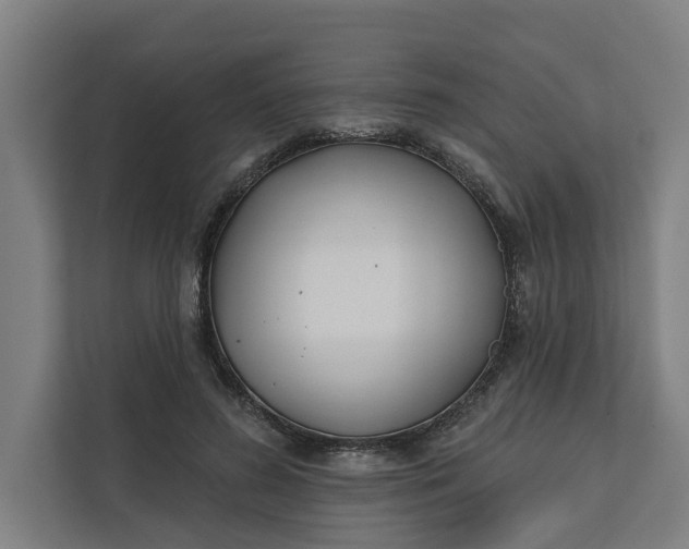 X0000112180596200908211501