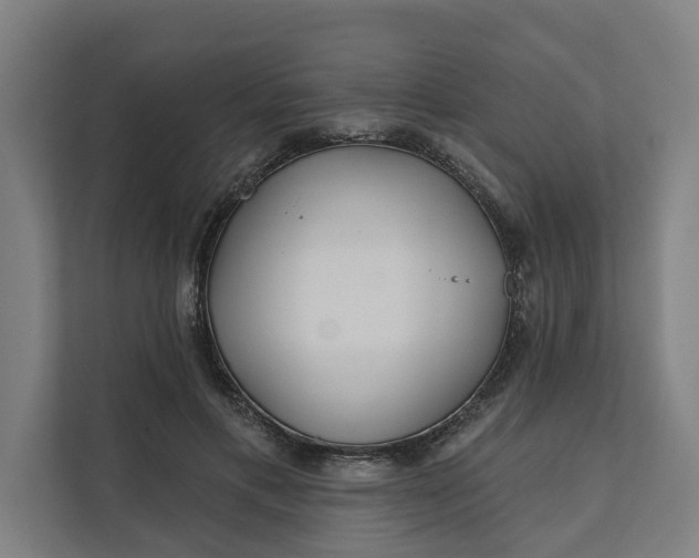 X0000112180597200908211501