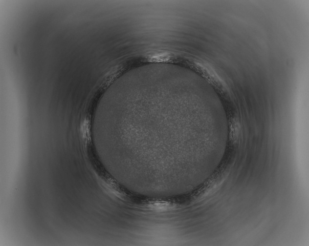 X0000112180598200908211501