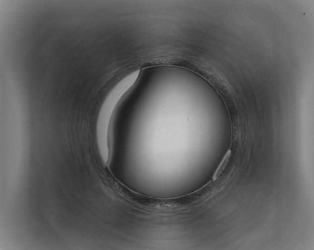 X0000112180599200908211501