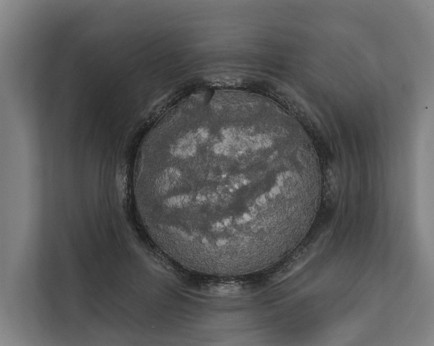 X0000112180600200908211501