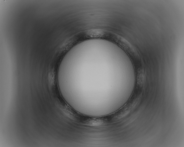 X0000112180604200908211501