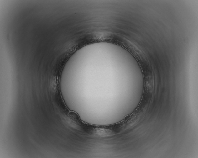 X0000112180605200908211501