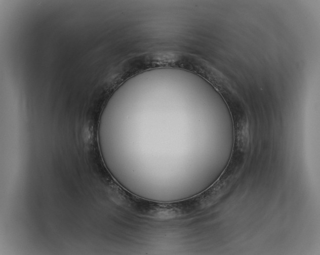 X0000112180608200908211501