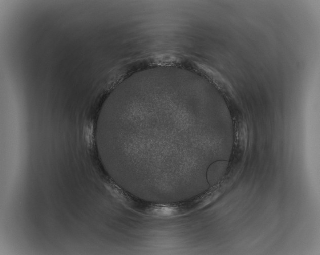 X0000112180610200908211501