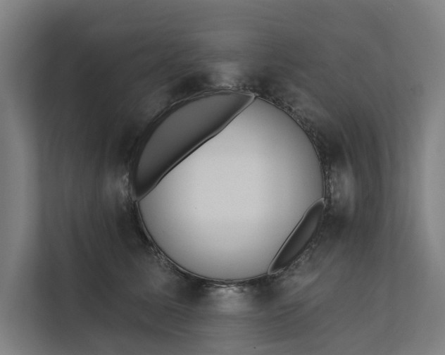 X0000112180611200908211501