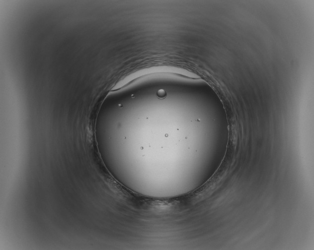 X0000112180613200908211501