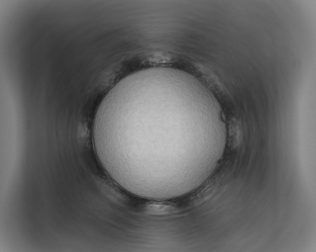 X0000112180614200908211501