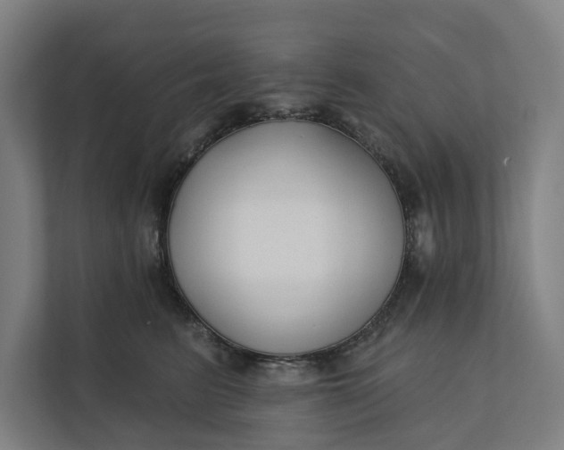 X0000112180615200908211501