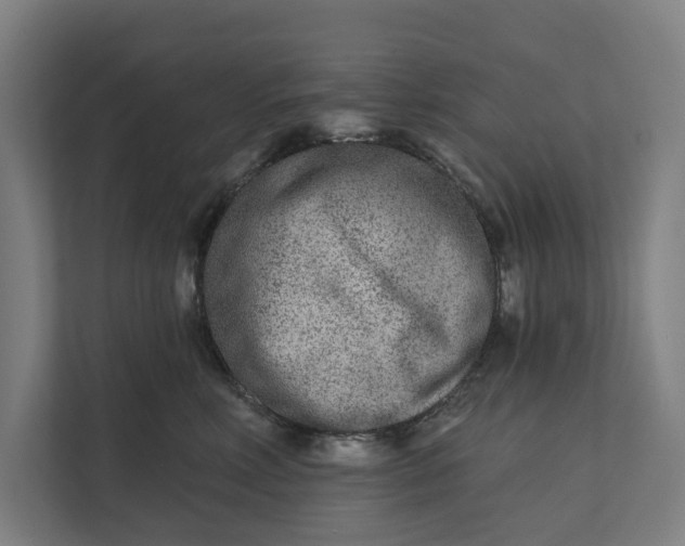 X0000112180618200908211501