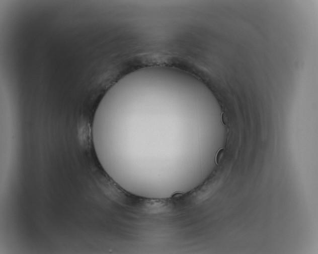 X0000112180624200908211501