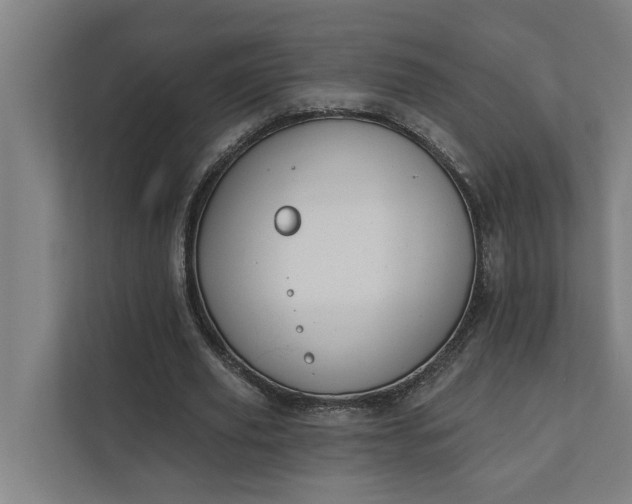 X0000112180629200908211500