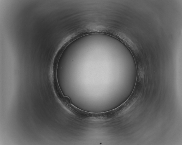 X0000112180630200908211500