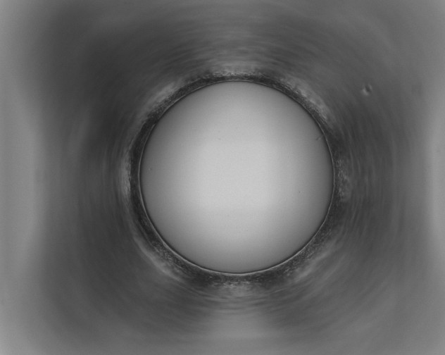 X0000112180631200908211500